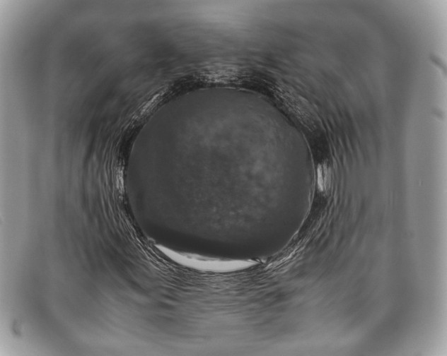 X0000098021155200804111250