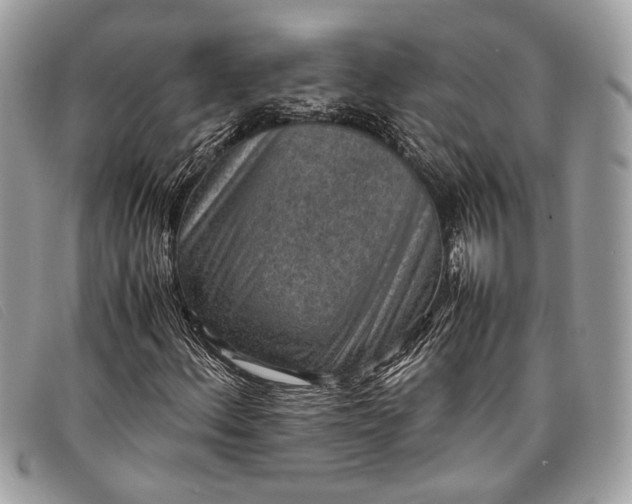 X0000098021156200804111250