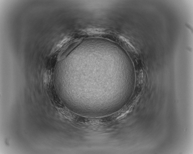 X0000098021157200804111250