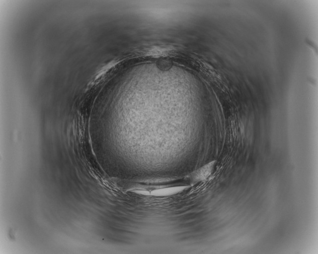 X0000098021158200804111250