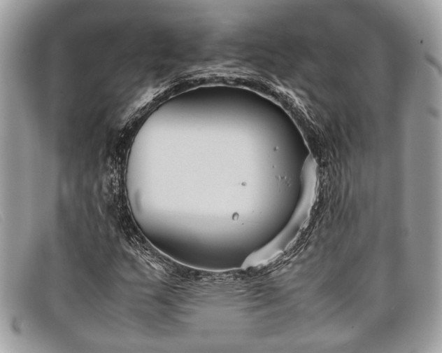 X0000098021159200804111250