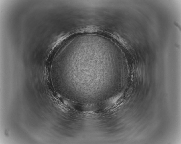 X0000098021160200804111250