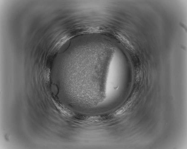 X0000098021161200804111250