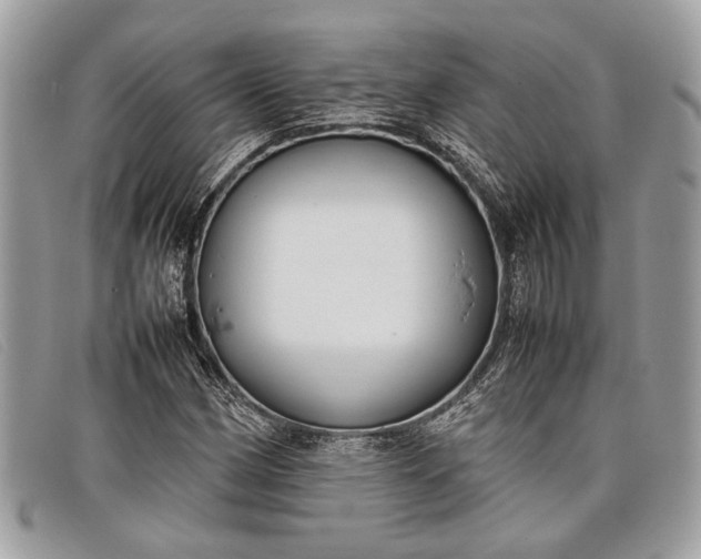 X0000098021162200804111250