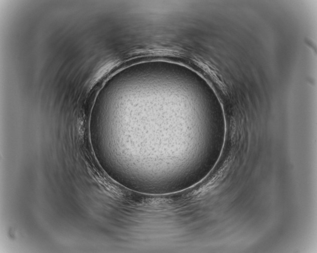 X0000098021163200804111250