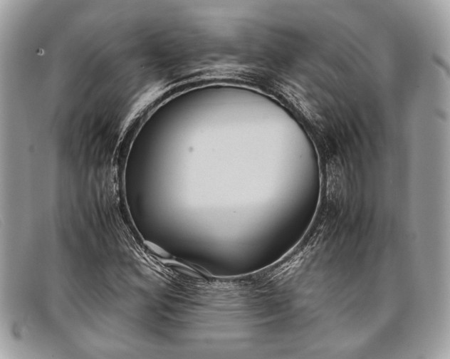 X0000098021164200804111250