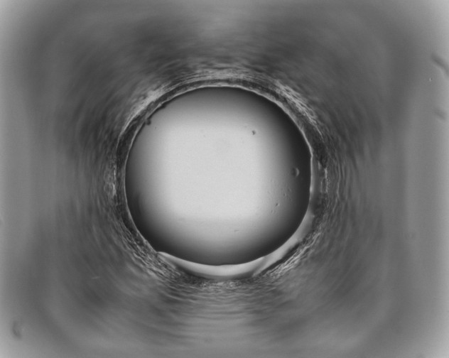 X0000098021165200804111250