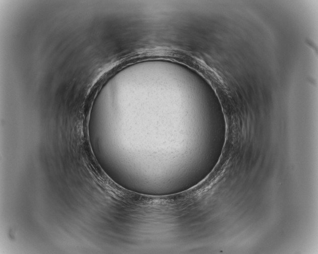 X0000098021166200804111250