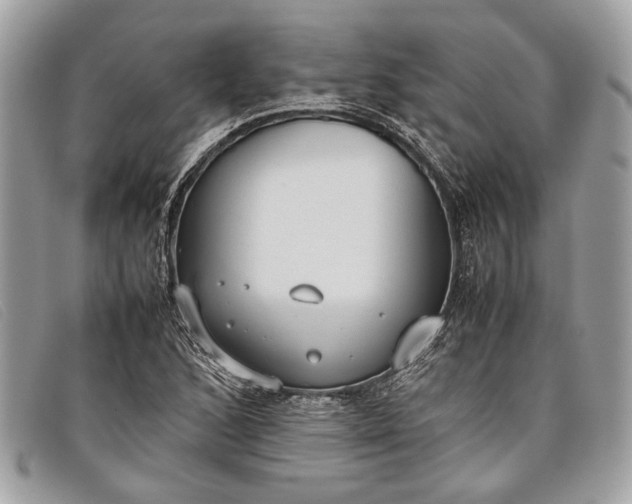 X0000098021168200804111250