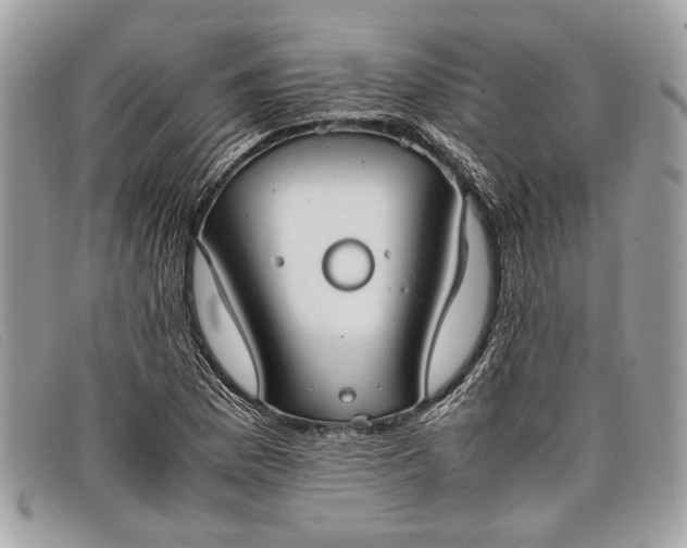 X0000098021169200804111250