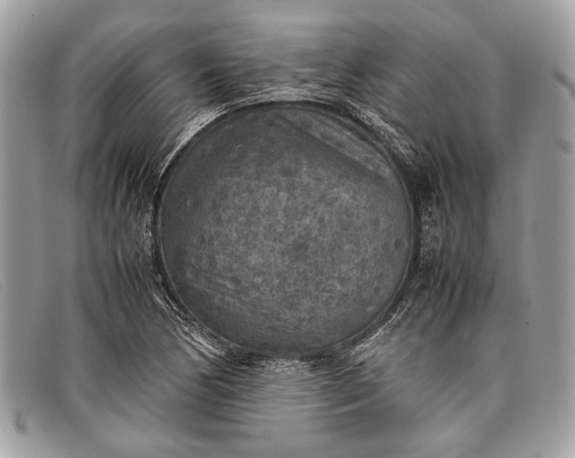 X0000098021170200804111250