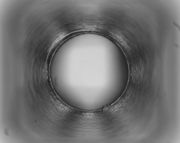 X0000098021172200804111250