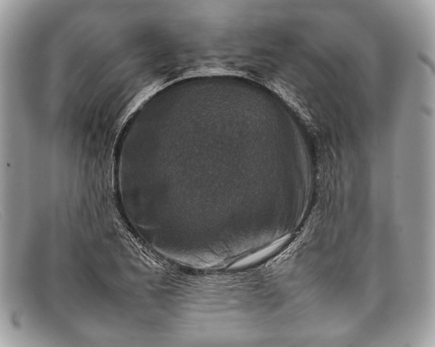 X0000098021173200804111250