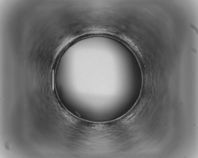 X0000098021175200804111250