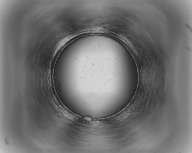 X0000098021176200804111250