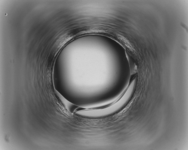 X0000098021177200804111250