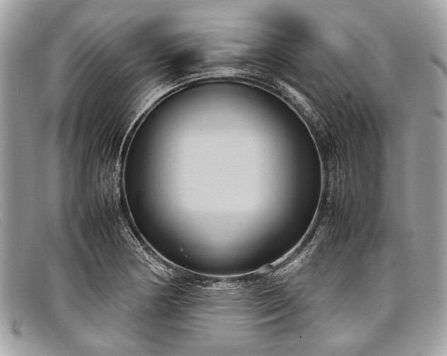 X0000098021178200804111250