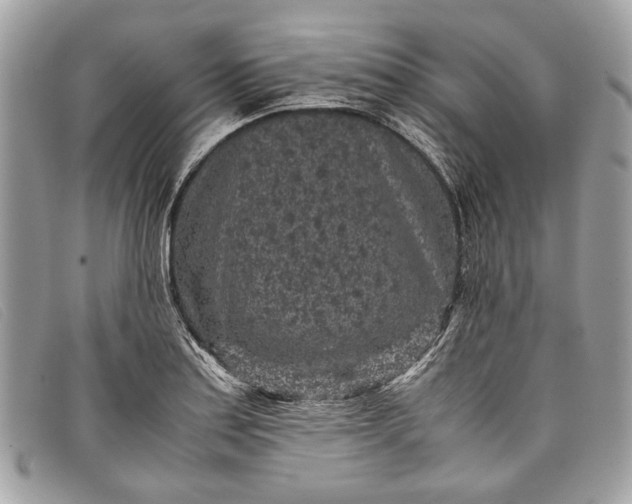 X0000098021179200804111250