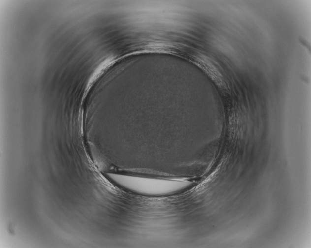 X0000098021180200804111250