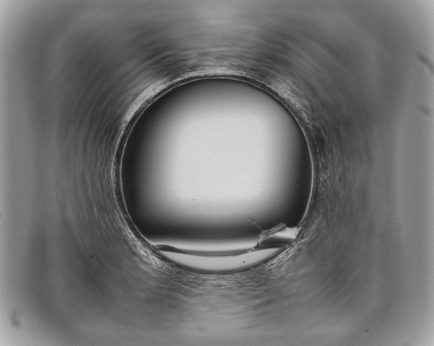 X0000098021181200804111250