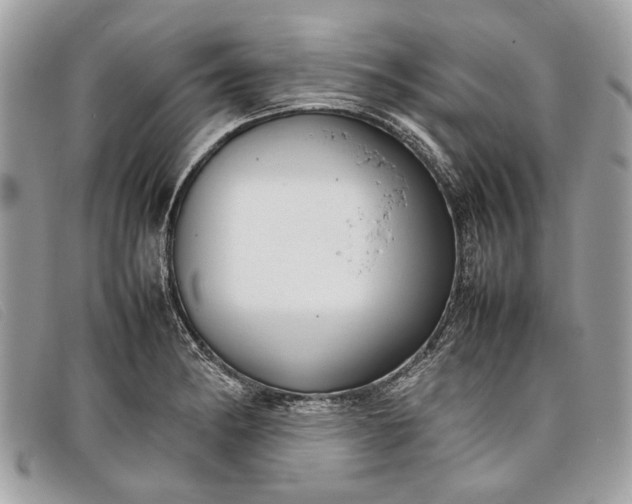 X0000098021182200804111250