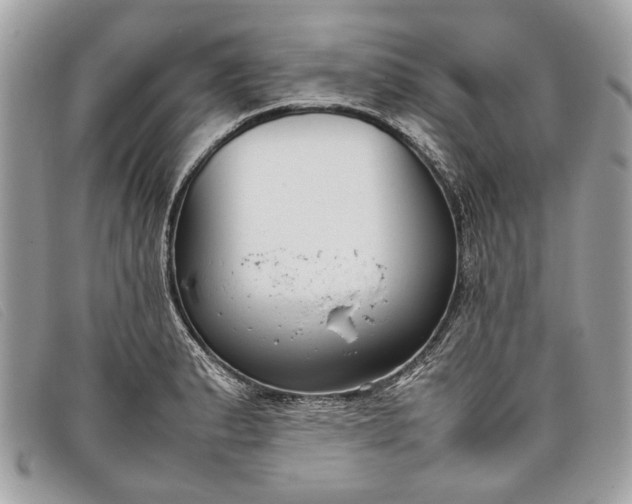 X0000098021183200804111250