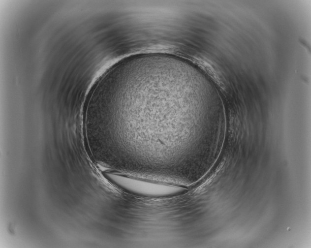 X0000098021184200804111250