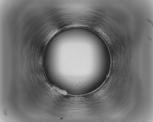 X0000098021185200804111250