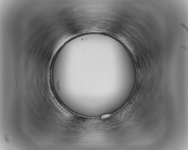 X0000098021187200804111250