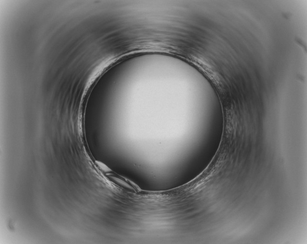 X0000098021188200804111250