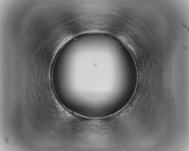 X0000098021189200804111250