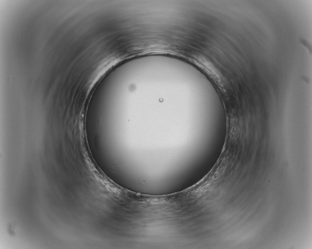 X0000098021190200804111250