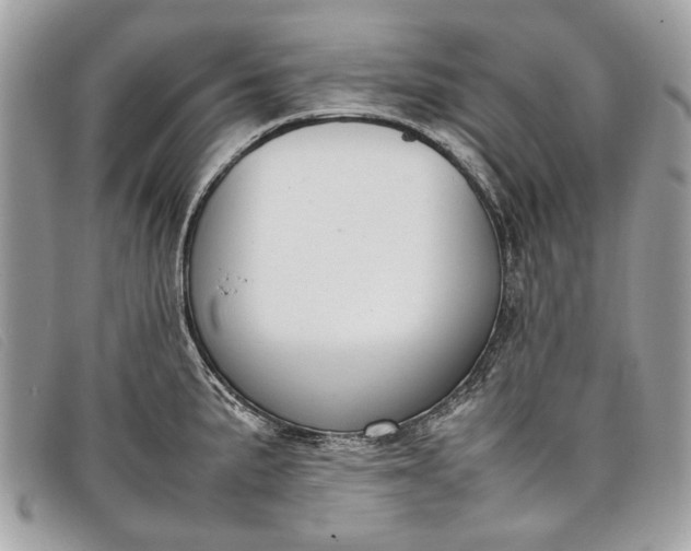 X0000098021191200804111250