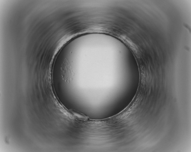 X0000098021192200804111250