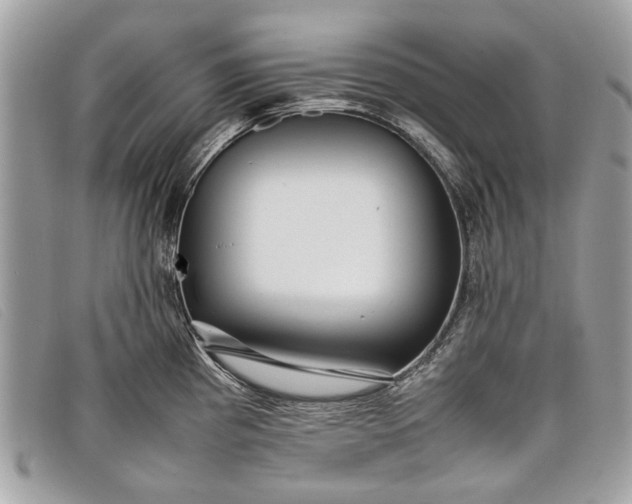 X0000098021193200804111250