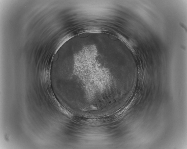 X0000098021194200804111250