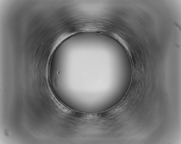 X0000098021195200804111250