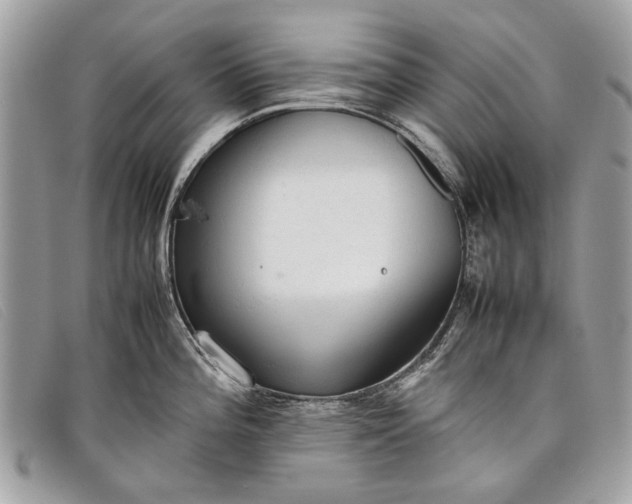 X0000098021196200804111250