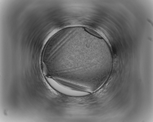 X0000098021197200804111250