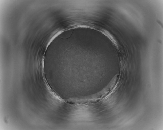 X0000098021198200804111250