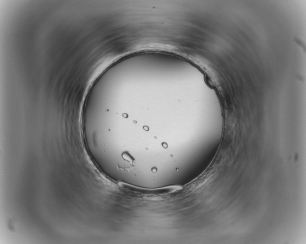 X0000098021199200804111250