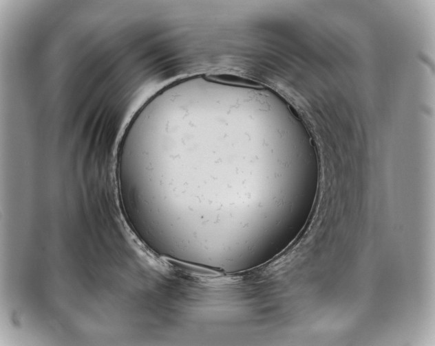 X0000098021200200804111250