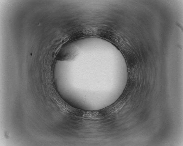 X0000098021201200804111249