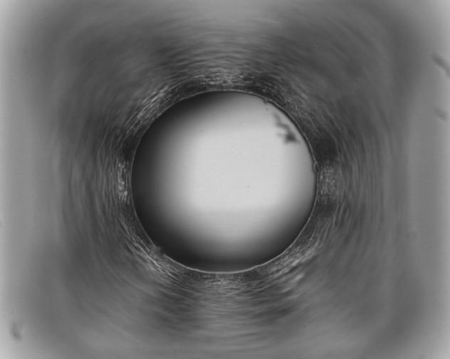 X0000098021202200804111249