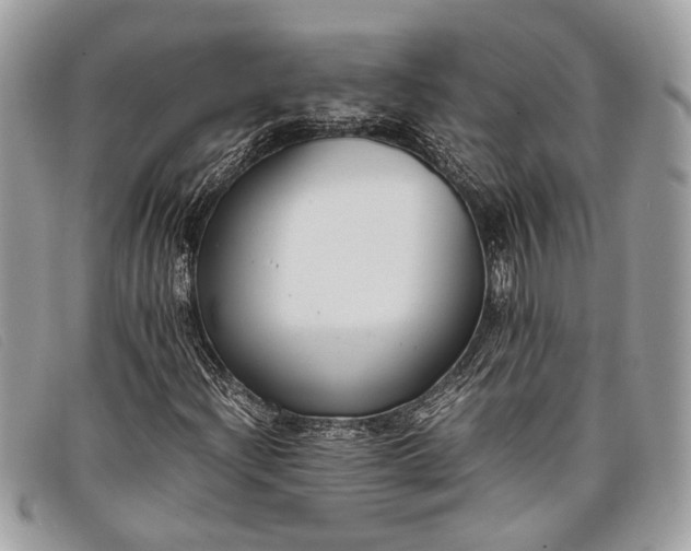 X0000098021204200804111249