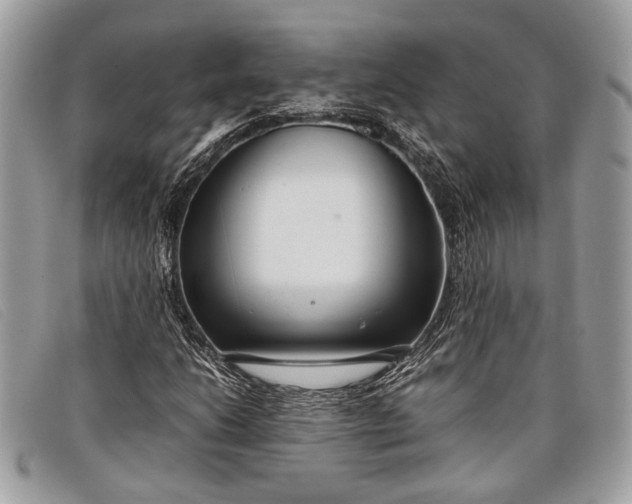 X0000098021206200804111249