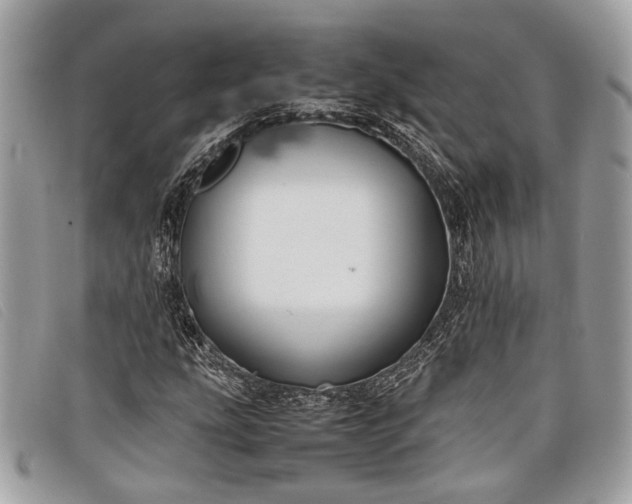 X0000098021207200804111249