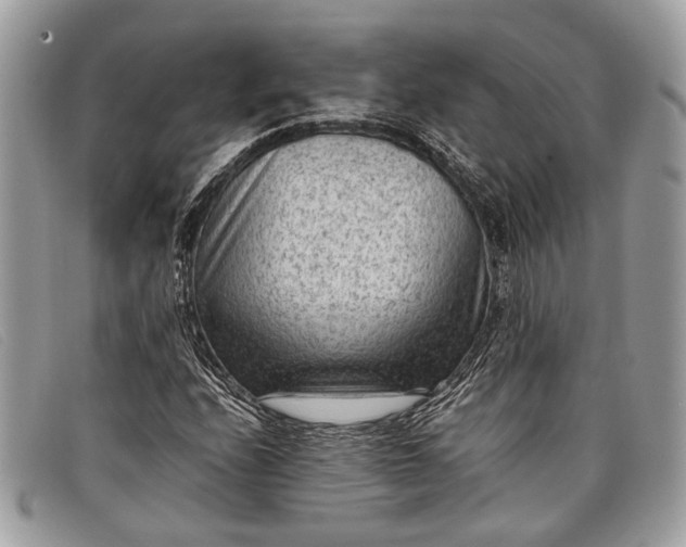 X0000098021208200804111249