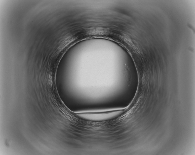 X0000098021209200804111249