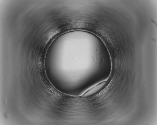 X0000098021210200804111249